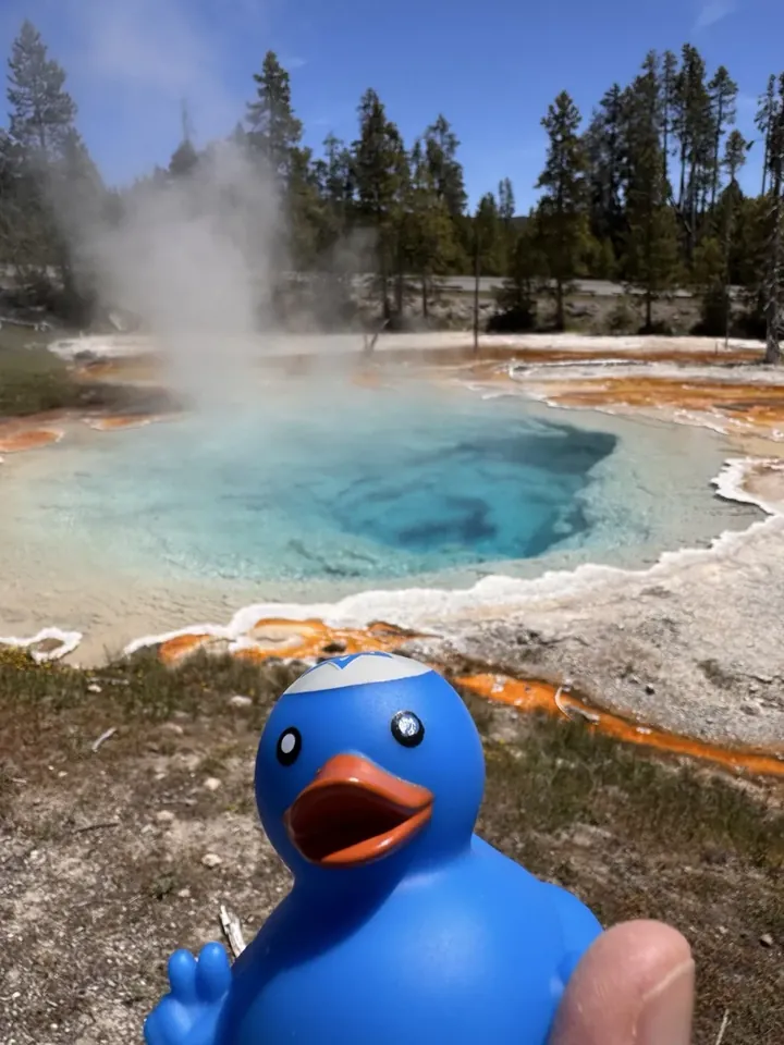 A blue Shalom duck held up in front of a steaming turquoise hot spring.